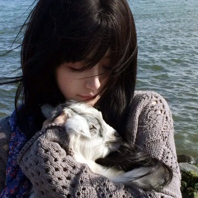 平方根:海绵宝宝的故事